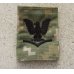 画像1: 米軍 米海軍NWU TYPE3（AOR2）用階級章 (1)