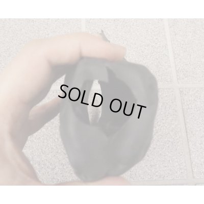 画像3: 英軍SA80(L85)アサルトライフル用ハンドガードカバー初期型?