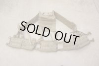 米軍イーグルSFLCS Hハーネス カーキ新品