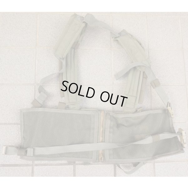 画像2: 米軍イーグルRLCSマルチパーパスチェストリグRG新品