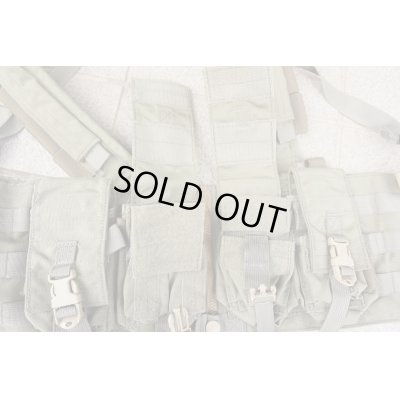 画像3: 米軍イーグルRLCSマルチパーパスチェストリグRG新品