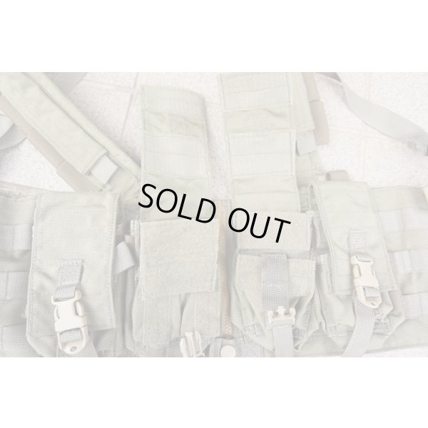 画像3: 米軍イーグルRLCSマルチパーパスチェストリグRG新品
