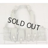 米軍イーグルRLCSマルチパーパスチェストリグRG新品