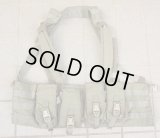 米軍イーグルRLCSマルチパーパスチェストリグRG新品