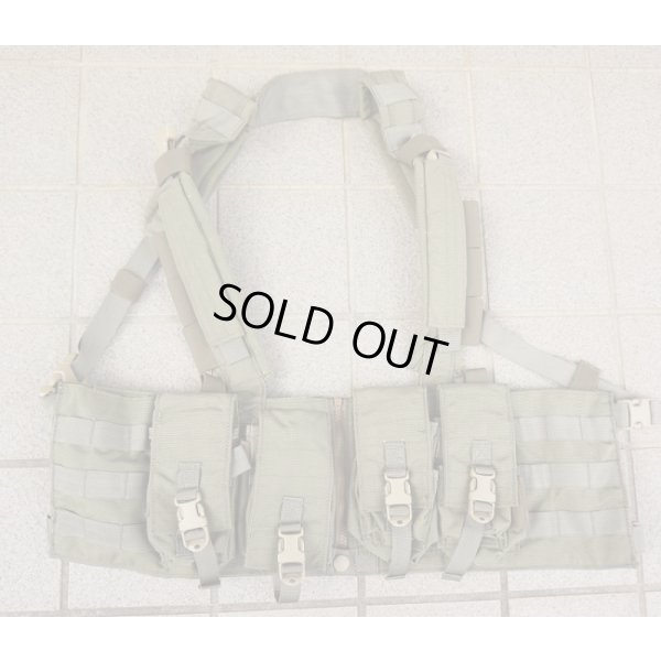 画像1: 米軍イーグルRLCSマルチパーパスチェストリグRG新品
