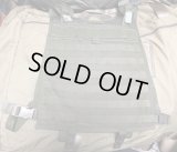 英軍ブラックホーク製プレートキャリアOD
