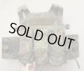 Templars Gear製TPCプレートキャリア ドイツ連邦軍フレクター迷彩MOLLEカマーバンド・マガジンフロントパネル付き新品