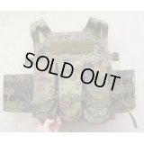 Templars Gear製TPCプレートキャリア ドイツ連邦軍フレクター迷彩MOLLEカマーバンド・マガジンフロントパネル付き新品