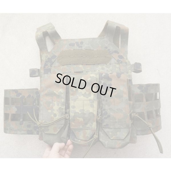 画像1: Templars Gear製TPCプレートキャリア ドイツ連邦軍フレクター迷彩MOLLEカマーバンド・マガジンフロントパネル付き新品