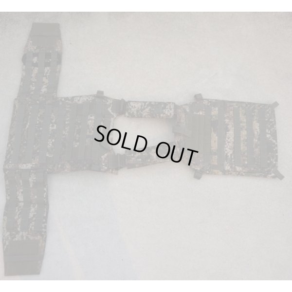 画像3: LBX-0300プレートキャリア カイマン迷彩 新品