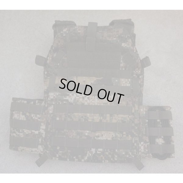 画像1: LBX-0300プレートキャリア カイマン迷彩 新品