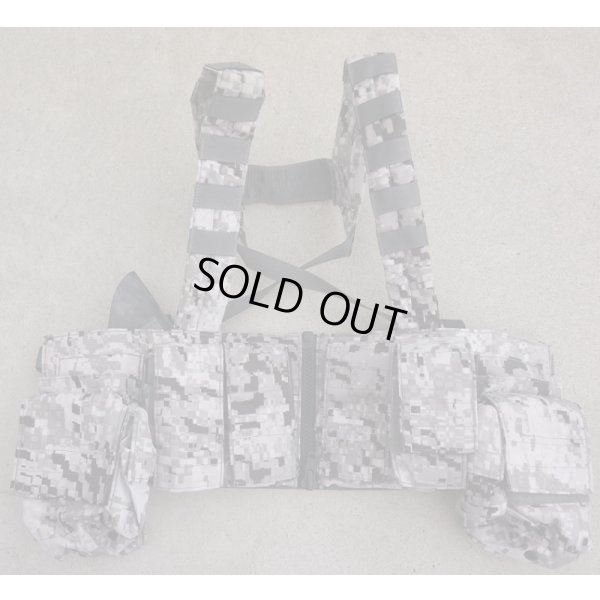 画像1: LBX-0062チェストリグ スノーラプター迷彩 新品