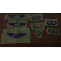 米軍 米空軍サブデュード スキルパッチ各種