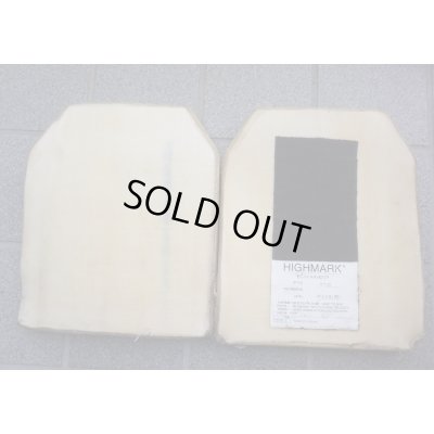 画像5: 英軍放出ブラックホーク製プレートキャリア黒ハイマーク製プレート・Hellweg製ダブルピストルマガジンポーチ付き