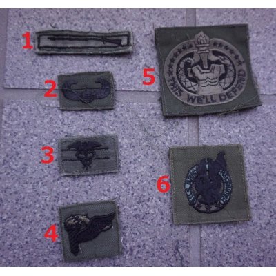 画像1: 米軍 米陸軍サブデュード スキルパッチ各種