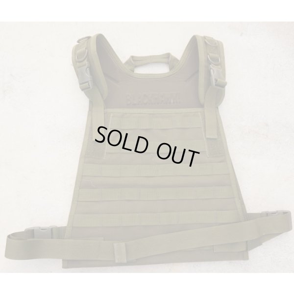 画像1: 英軍放出ブラックホーク製プレートキャリアOD