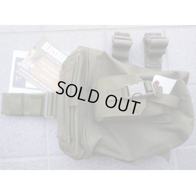 画像1: ブラックホークOMEGAレッグダンプポーチOD新品