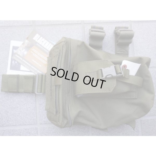 画像1: ブラックホークOMEGAレッグダンプポーチOD新品