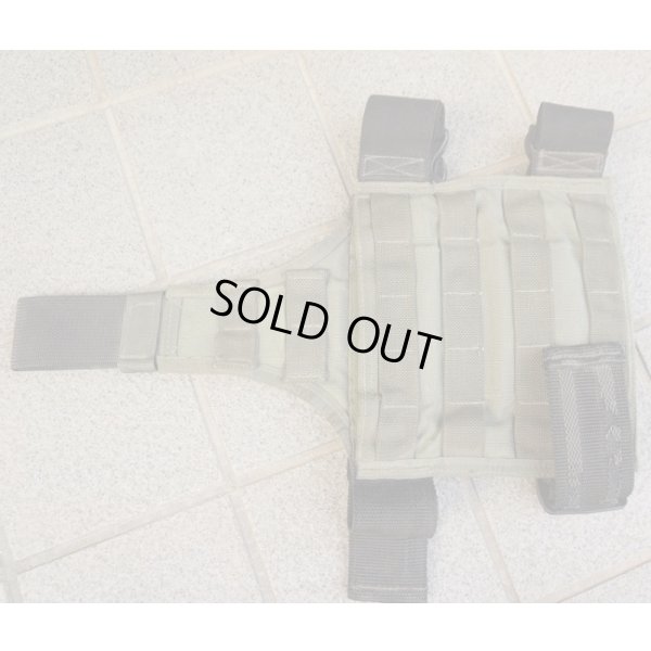 画像1: 米軍放出パラクレイト レッグパネルSGプレMSAロット