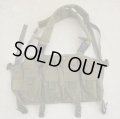 米軍放出LBT-0290DチェストリグOD金タグロット品