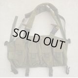 米軍放出LBT-0290DチェストリグOD金タグロット品