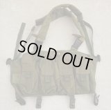米軍放出LBT-0290DチェストリグOD金タグロット品