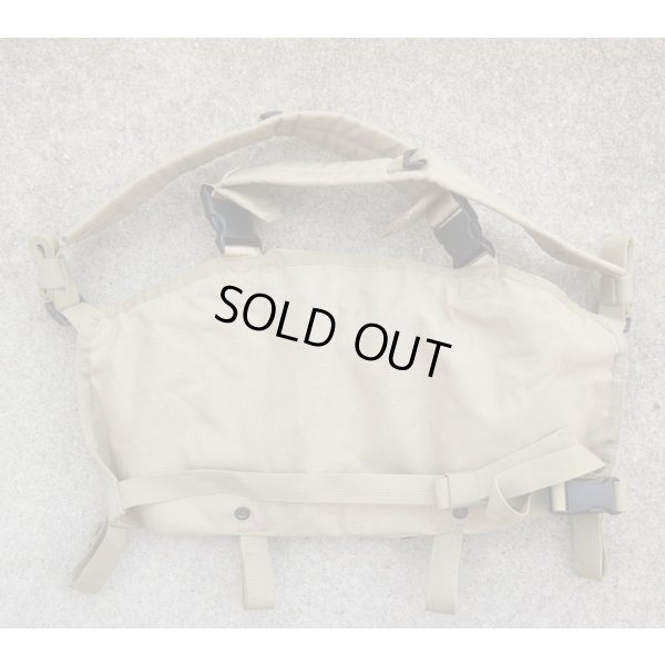 画像2: 米軍放出LBT-0290Dチェストリグ ライトタン金タグロット品