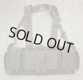 DSS・Marshal用メイフラワーUWチェストリグGen4 RG新品