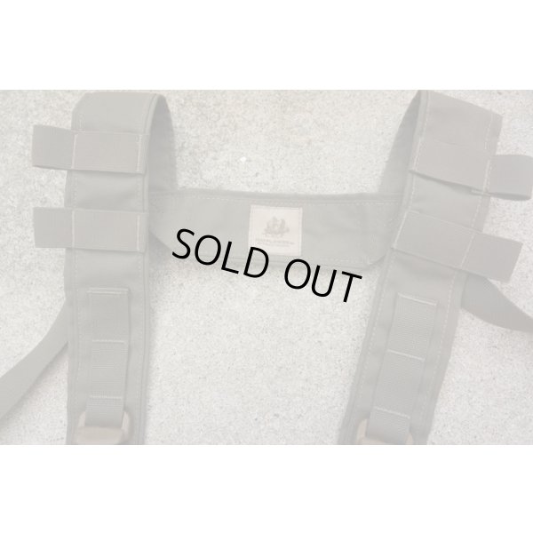 画像3: DSS・Marshal用メイフラワーUWチェストリグGen4 RG新品