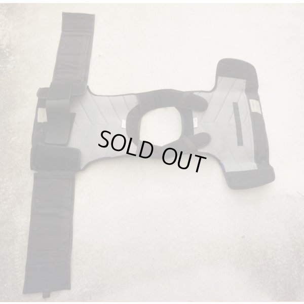 画像3: ダイヤモンドバックRBVP(プレデター)Gen2ボディアーマー黒 新品