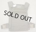 ダイヤモンドバックFAPC-2プレートキャリアRG LARGE新品