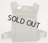 ダイヤモンドバックFAPC-2プレートキャリアRG LARGE新品