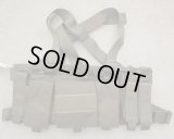 ダイヤモンドバックLow Vis RACK LV1チェストリグRG新品