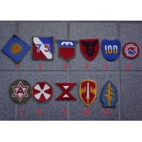 米軍 米陸軍フルカラー部隊章カットエッジタイプ各種