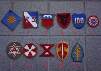 米軍 米陸軍フルカラー部隊章カットエッジタイプ各種