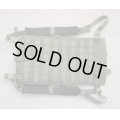 米軍イーグルDF-LCSハイドレーションパックOD新品
