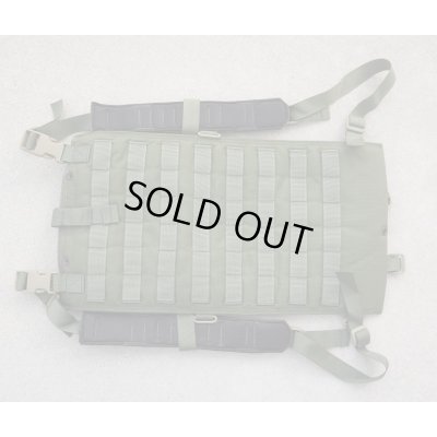 画像1: 米軍イーグルDF-LCSハイドレーションパックOD新品