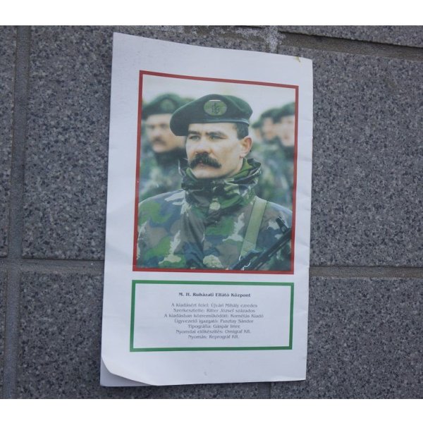 画像2: ハンガリー軍 徽章・被服規定マニュアル