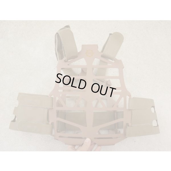 画像1: S&Sプレートフレーム タンLARGE新品