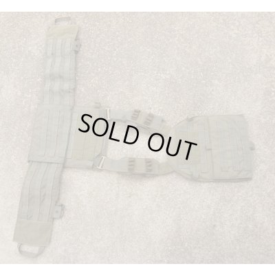 画像4: US MARSHAL放出イーグルLE仕様MMACプレートキャリア初期型RG LARGE