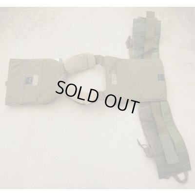 画像4: イーグルLE仕様MMACプレートキャリアGen2 RG SMALL新品