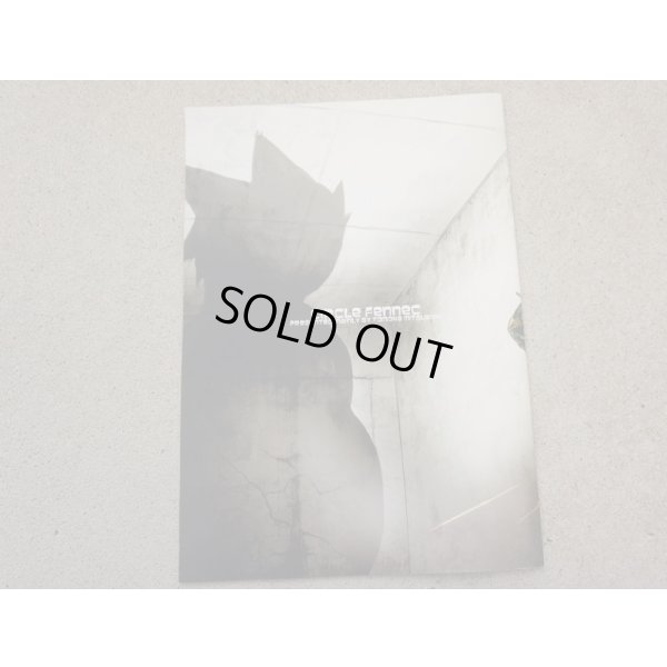 画像2: サークルフェネック ドイツ連邦陸軍装備本ドイツプレートキャリア編 新品