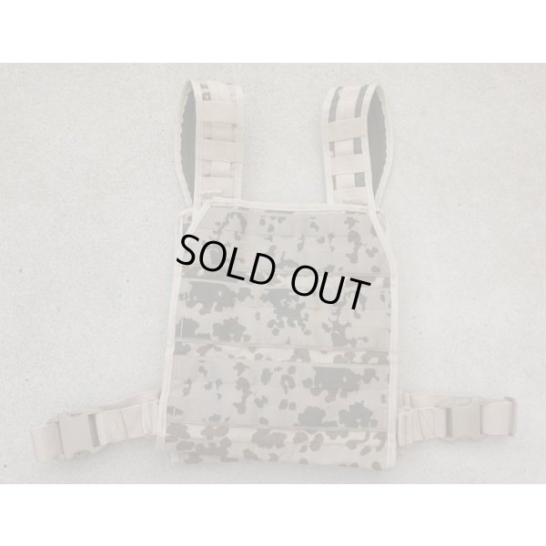 画像1: 75タクティカルDeltaプレートキャリア ドイツ連邦軍デザートフレクター迷彩(ヴィステン迷彩)新品