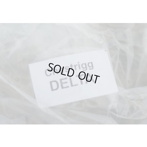 画像3: 75タクティカルDeltaプレートキャリア ドイツ連邦軍デザートフレクター迷彩(ヴィステン迷彩)新品