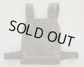 75タクティカルDeltaプレートキャリア ドイツ連邦軍フレクター迷彩(フレック迷彩)新品