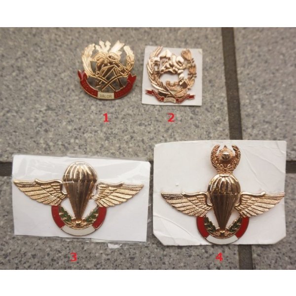 画像1: ペルー軍 陸軍 資格章バッジ各種 新品