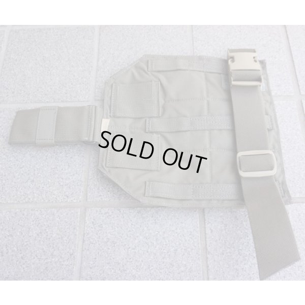 画像2: 米軍イーグルRLCSレッグパネルRG新品