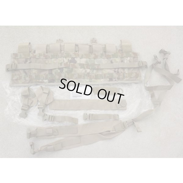 画像1: 米軍MOLLEII TAP(タクティカルアサルトパネル)OCPスコーピオンW2迷彩 新品