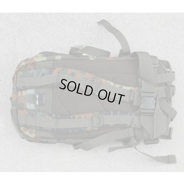 画像2: MIL-TEC USアサルトパック ドイツ連邦軍フレクター迷彩(フレック迷彩)新品