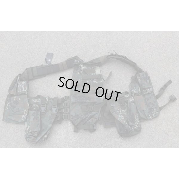 画像1: ブランディット製P83型アサルトベスト ドイツ連邦軍フレクター迷彩新品